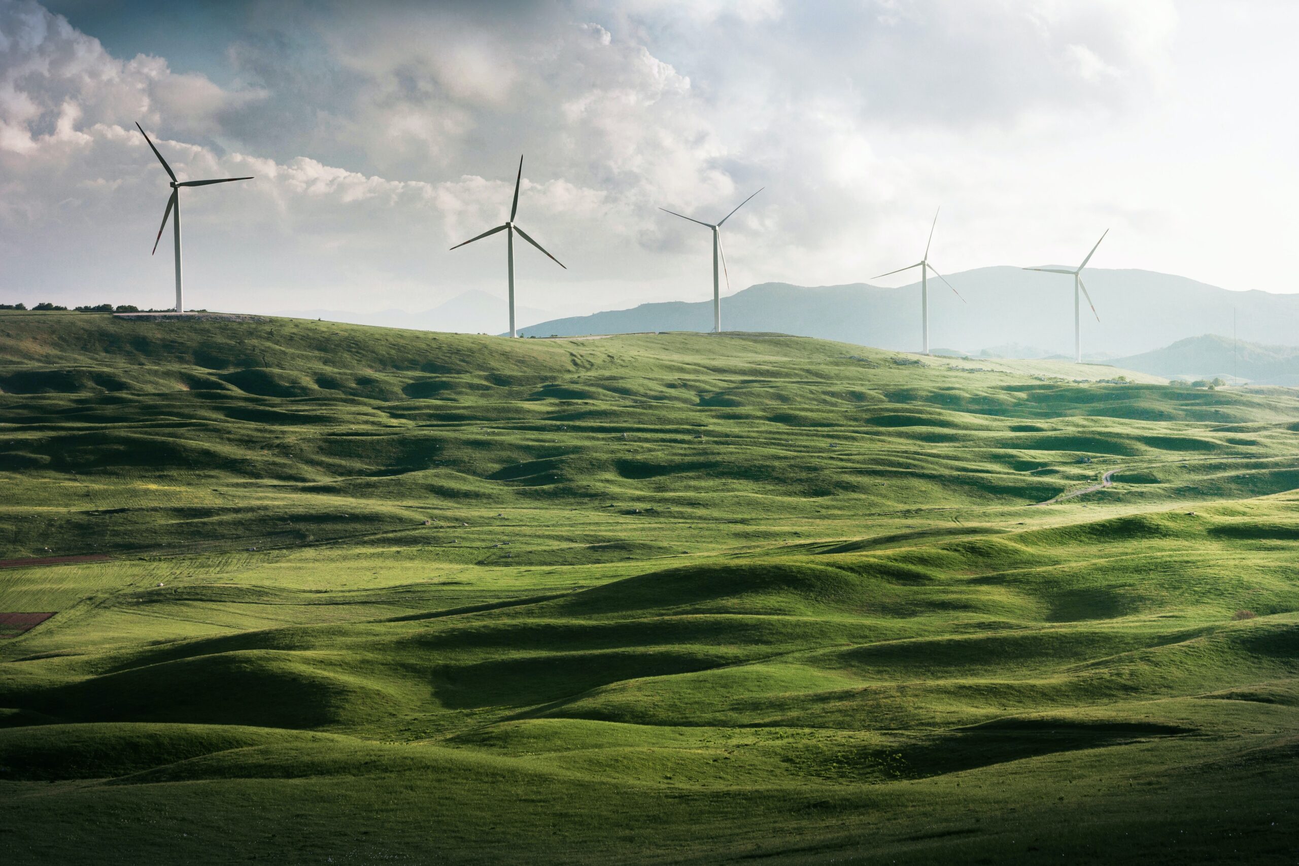 wind turbines along a green hill